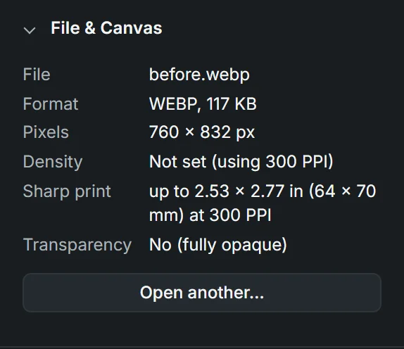 The File & Canvas panel listing file, pixels, density and print size.